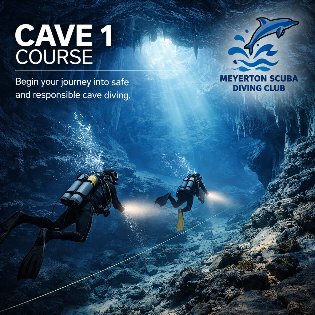 CAVE DIVER ZONE 1 (CAVERN DIVER)