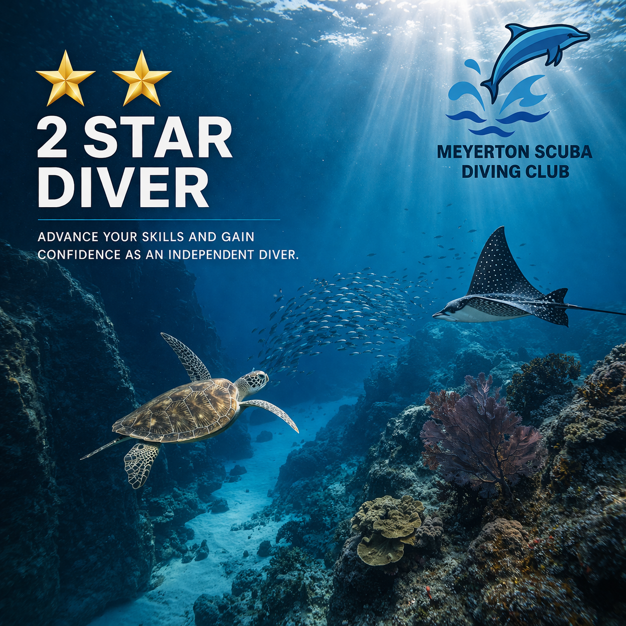 2 STAR